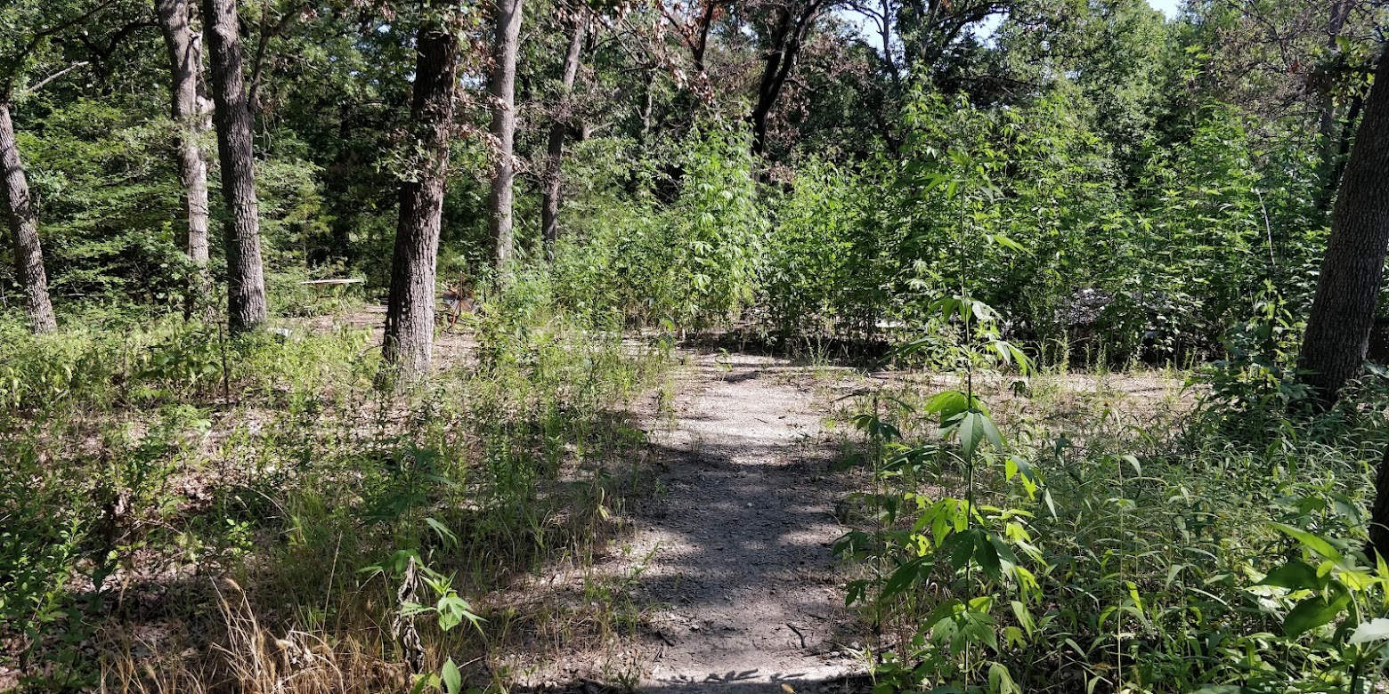 9411 Pinewood Dr , Hawk Cove, TX 75474 SWE Homes