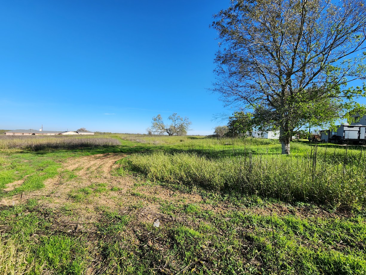 0 Elm Creek Rd , Seguin, TX 78155 SWE Homes