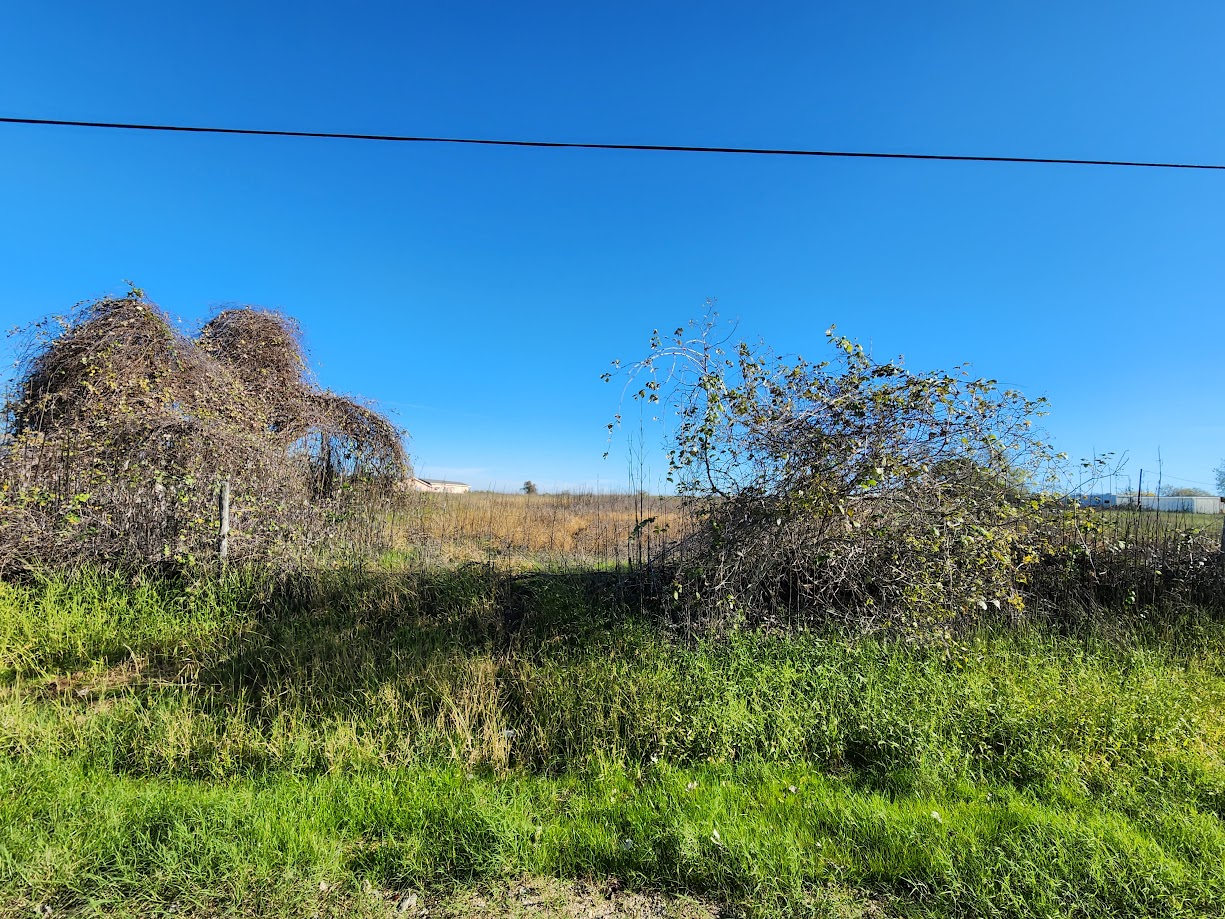 0 Elm Creek Rd , Seguin, TX 78155 SWE Homes