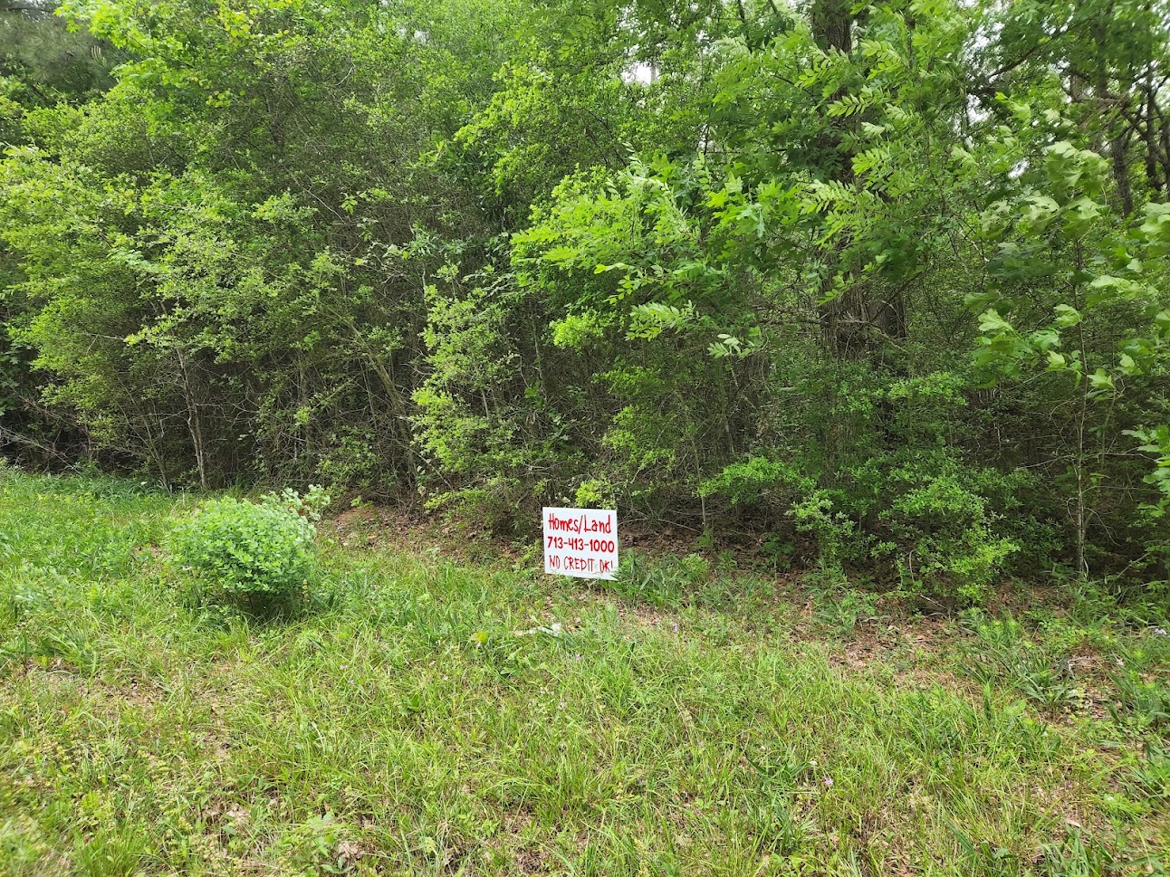 0 CR 2142 A , Rye, TX 77369 SWE Homes