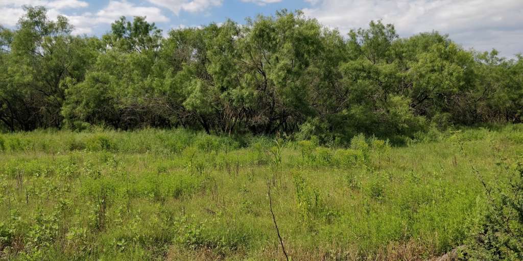 0 CR 678, Natalia, TX 78059 SWE Homes