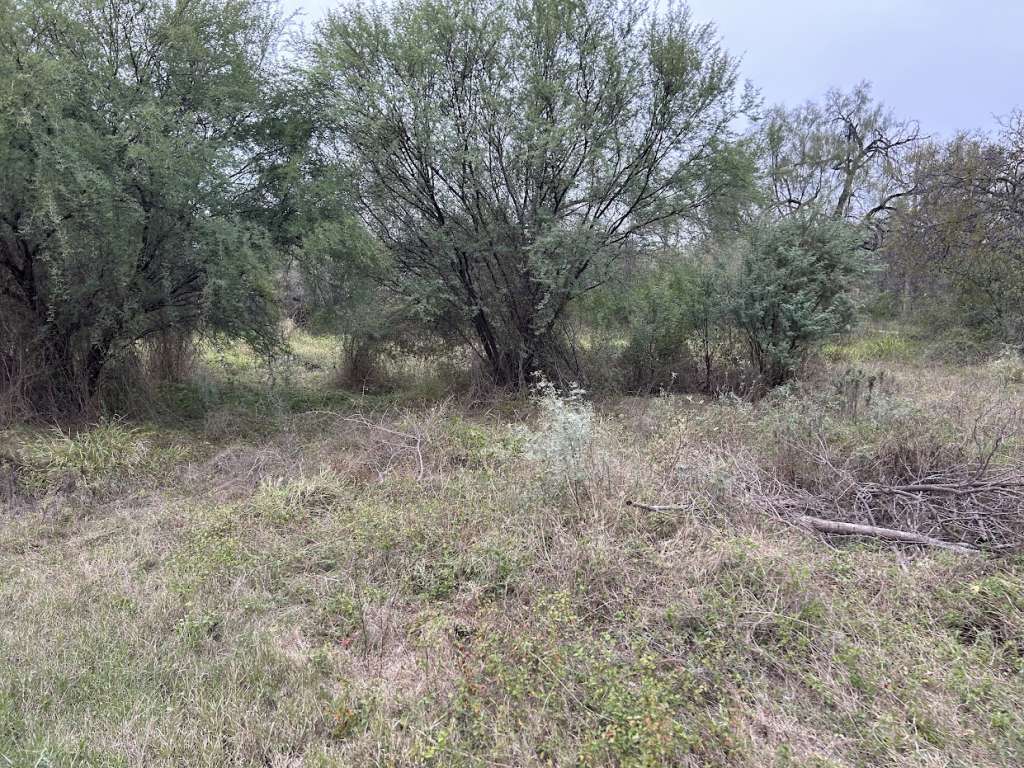 RT 1 Box 2 US 277N, Quemado, TX 78877 SWE Homes