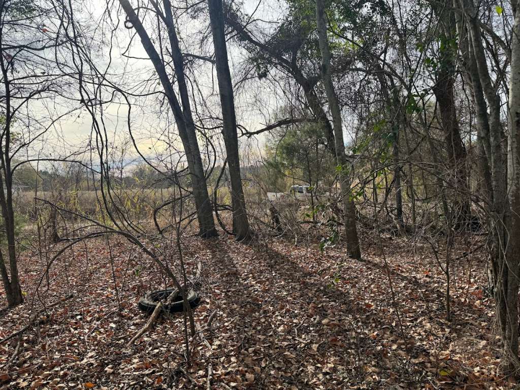 290 CR 3510, Cuney, TX 75759 SWE Homes