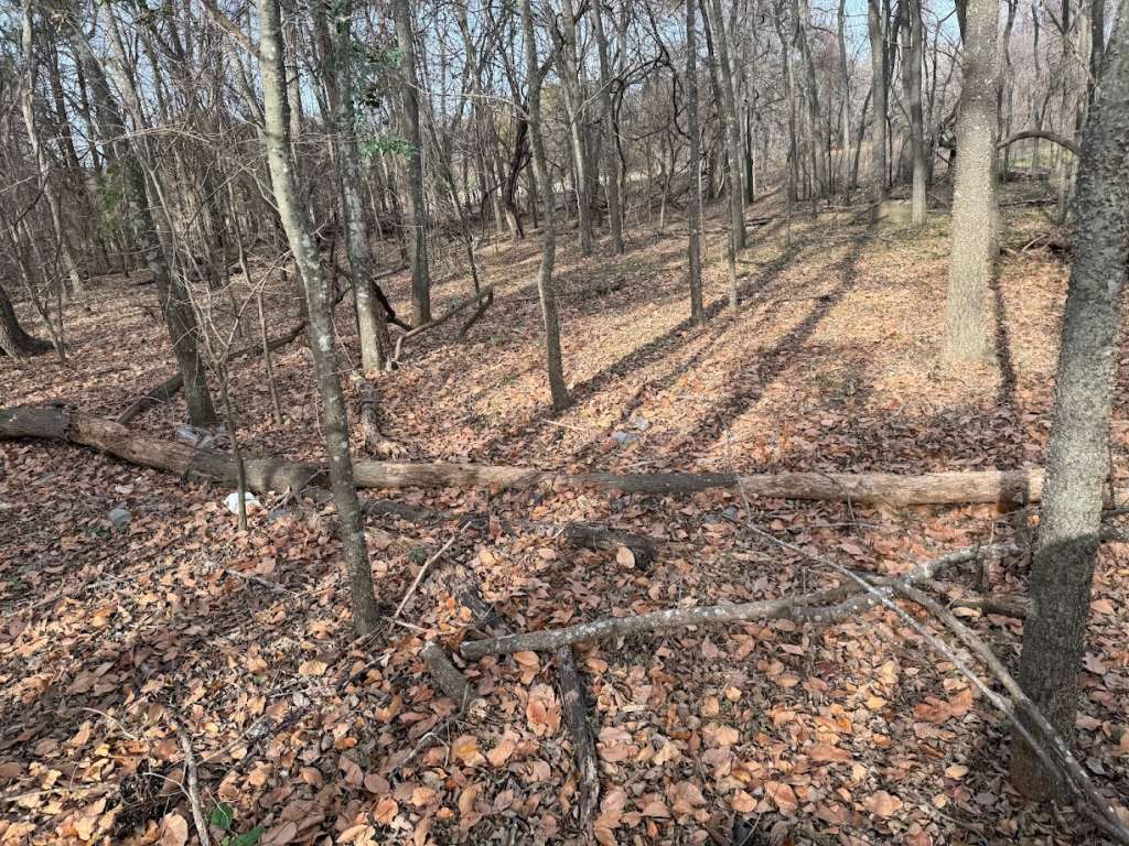 290 CR 3510, Cuney, TX 75759 SWE Homes