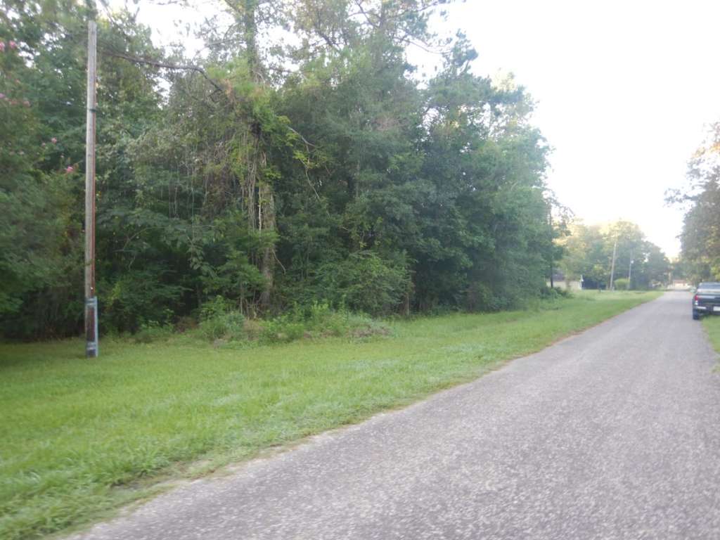 Wilson rd. tr104a & tr104a1, Hankamer, TX 77560 SWE Homes