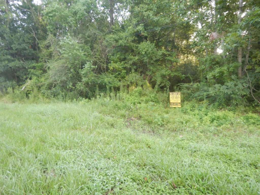 Wilson rd. tr104a & tr104a1, Hankamer, TX 77560 SWE Homes